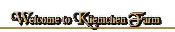 Welcome to Kliemchen Farm