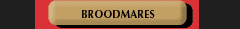 Broodmares